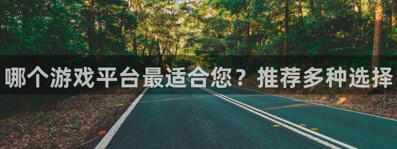 星欧娱乐Ii：哪个游戏平台最适合您？推荐多种选择