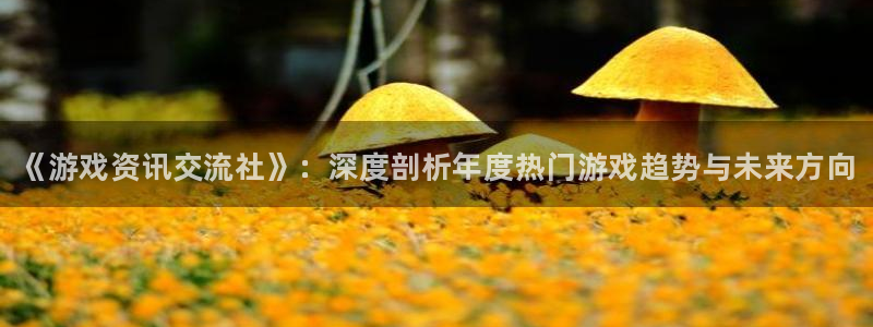 星欧娱乐开户测速：《游戏资讯交流社》：深度剖析年度热门游戏趋