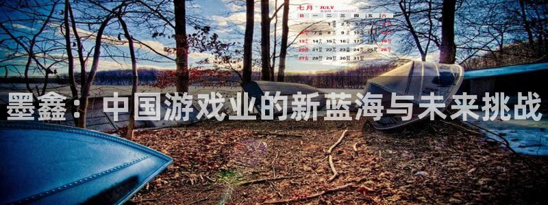 星欧娱乐怎么注册：墨鑫：中国游戏业的新蓝海与未来挑战