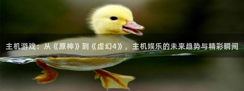 星欧娱乐4主管：主机游戏：从《原神》到《虚幻4》，主机娱乐的