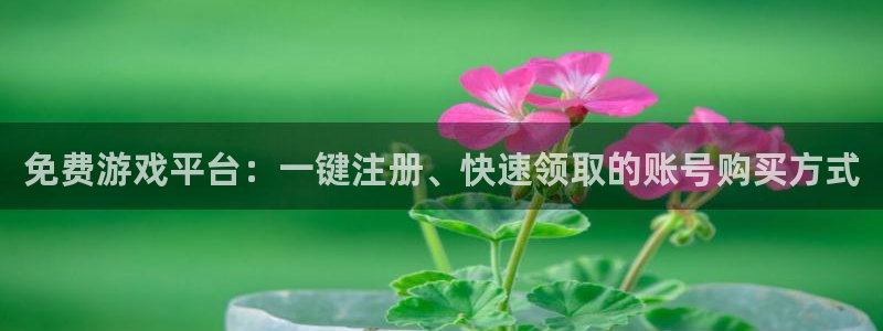星欧娱乐主管：免费游戏平台：一键注册、快速领取的账号购买方式