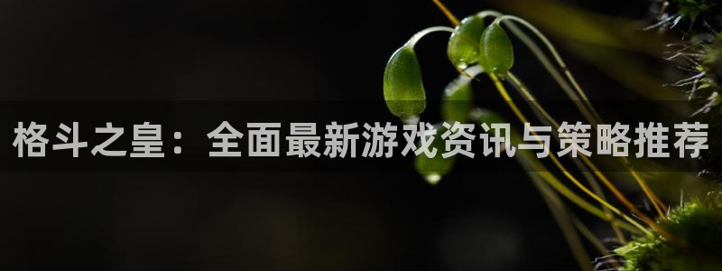 星欧娱乐游戏：格斗之皇：全面最新游戏资讯与策略推荐