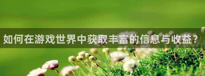 星欧娱乐注册服务条款：如何在游戏世界中获取丰富的信息与收益？