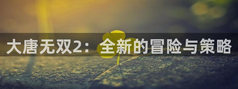星欧娱乐4招商：大唐无双2：全新的冒险与策略