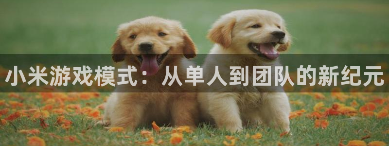 星欧娱乐注册地址：小米游戏模式：从单人到团队的新纪元