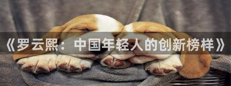 河豚直播体育直播