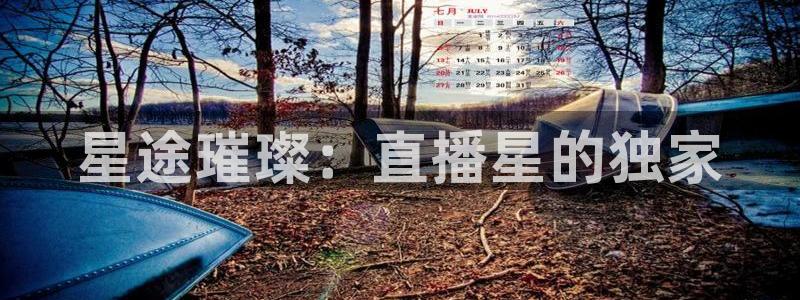 河豚的：星途璀璨：直播星的独家